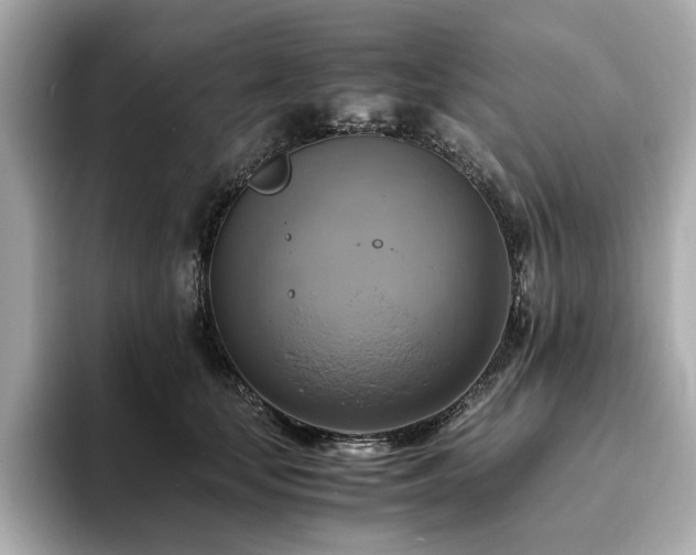 X0000093730659200710161118