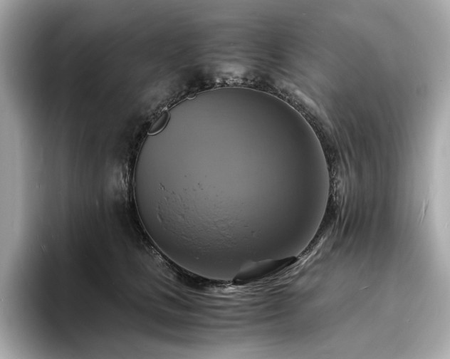 X0000093730661200710161118