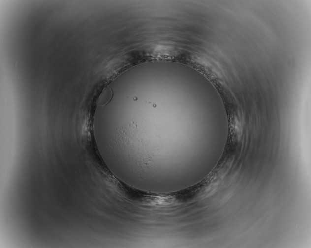 X0000093730663200710161118