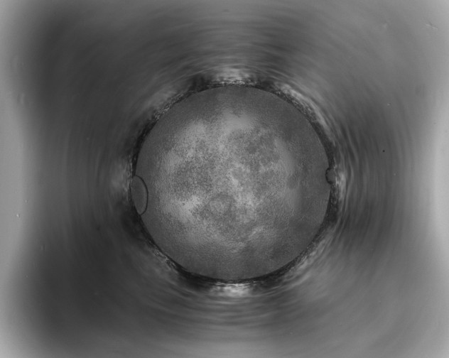 X0000093730665200710161118