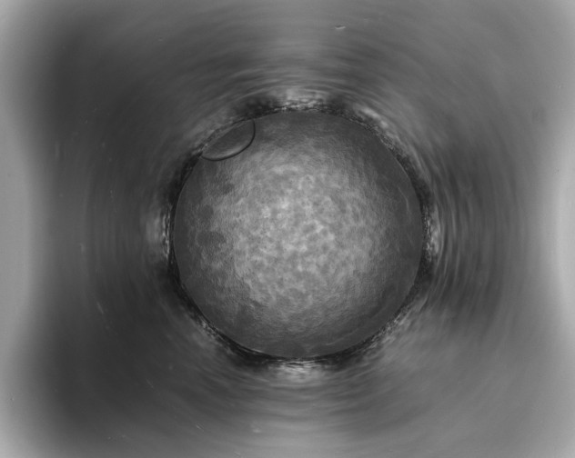 X0000093730666200710161118