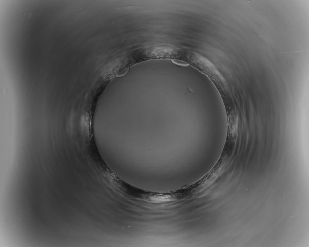 X0000093730669200710161118