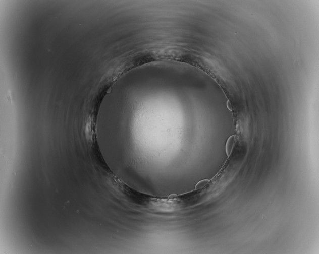 X0000093730671200710161118