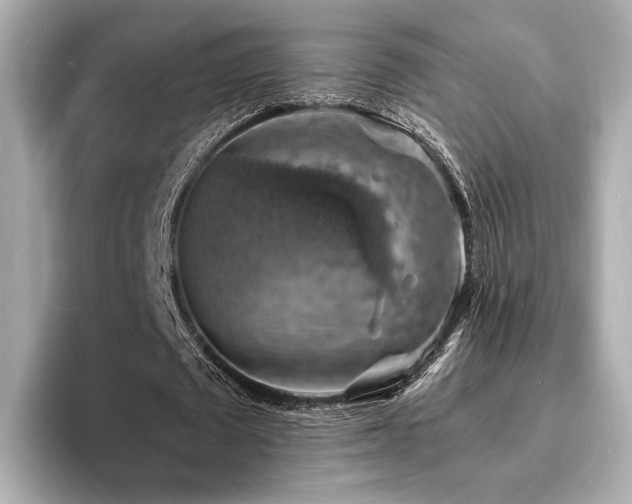 X0000093730673200710161117