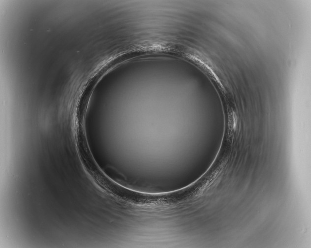 X0000093730674200710161117