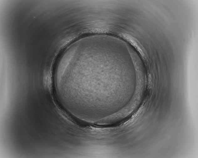 X0000093730677200710161117