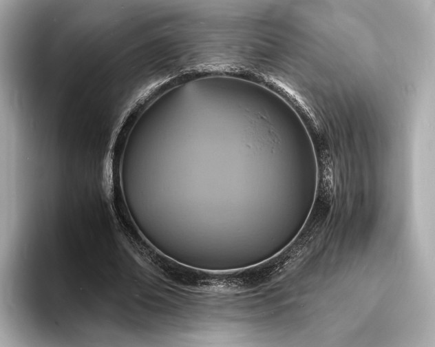 X0000093730678200710161117