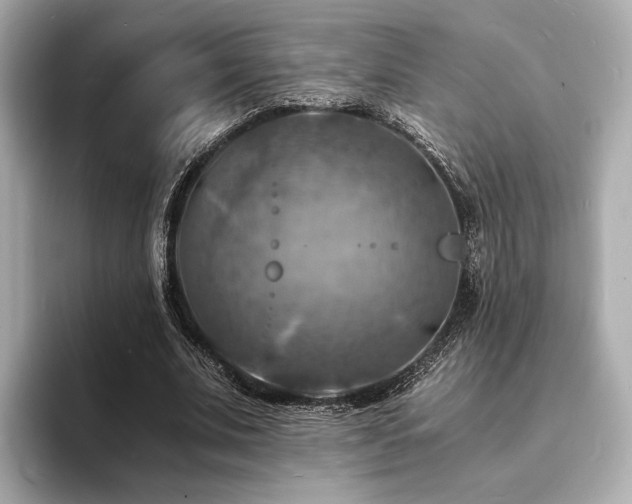 X0000093730679200710161117
