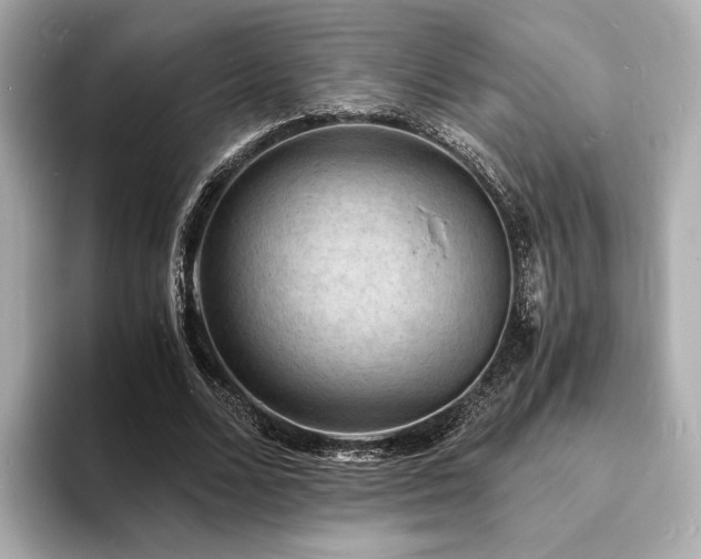 X0000093730680200710161117