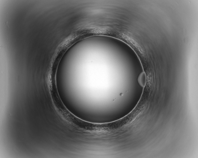 X0000093730682200710161117