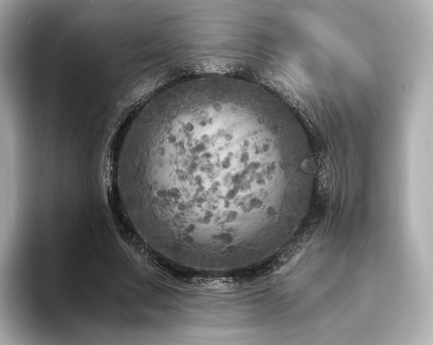 X0000093730683200710161117