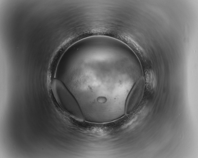 X0000093730684200710161117