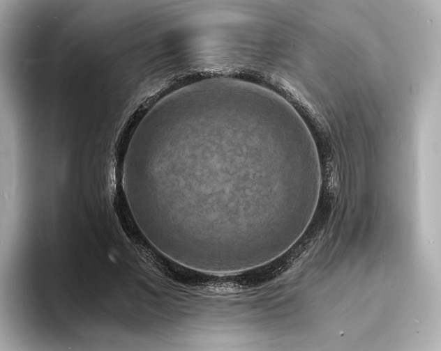 X0000093730685200710161117