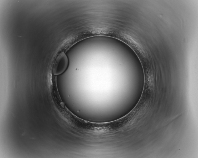 X0000093730686200710161117
