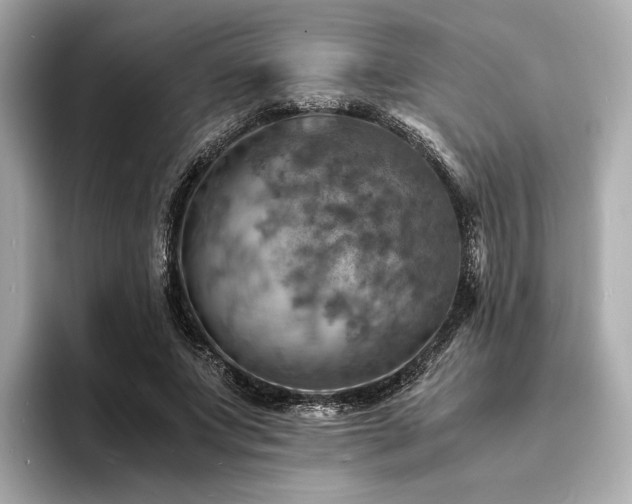 X0000093730687200710161117