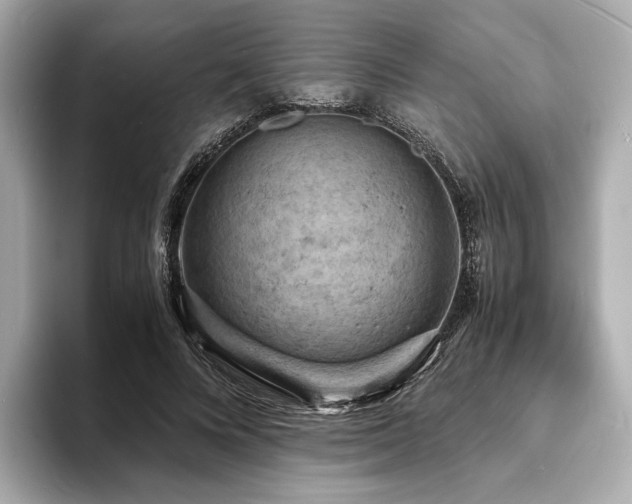 X0000093730688200710161117