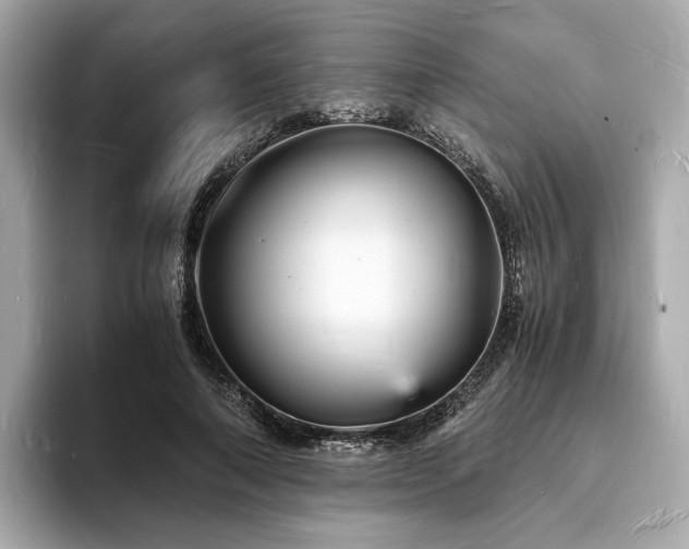 X0000093730690200710161117