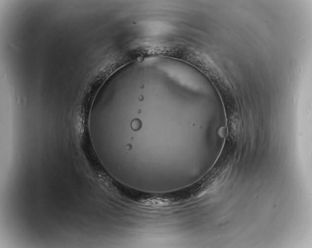 X0000093730691200710161117