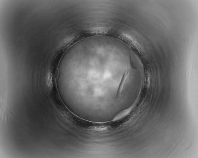 X0000093730692200710161117