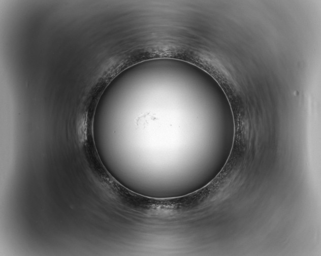 X0000093730694200710161117
