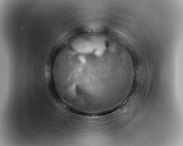X0000093730695200710161117