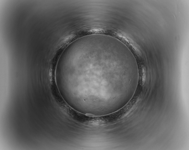 X0000093730696200710161117