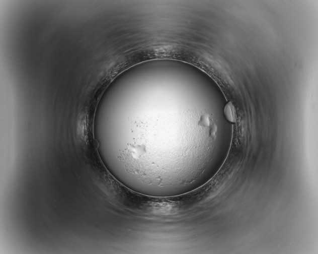 X0000093730698200710161117