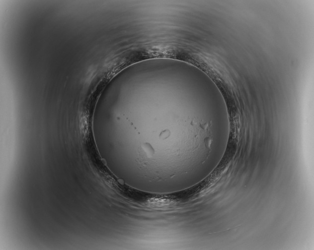 X0000093730699200710161117
