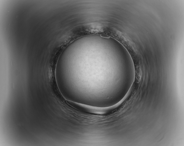 X0000093730704200710161117
