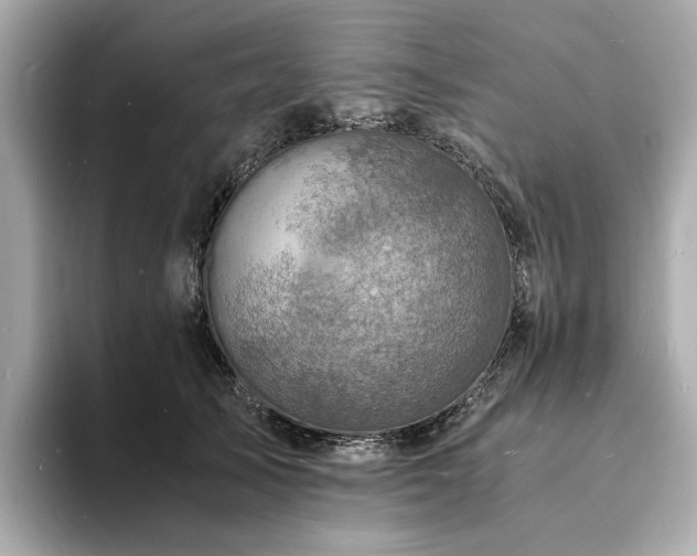 X0000093730705200710161117