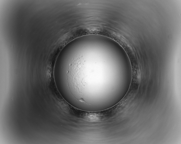 X0000093730710200710161117