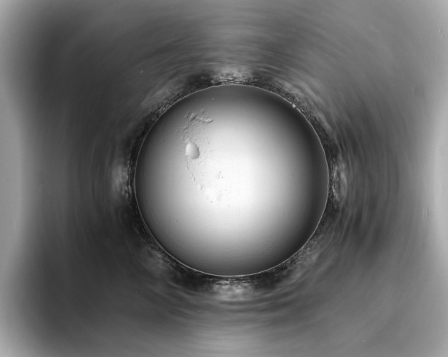 X0000093730714200710161117