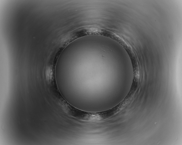 X0000093730715200710161117