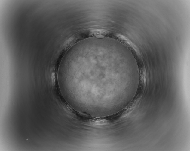 X0000093730716200710161117