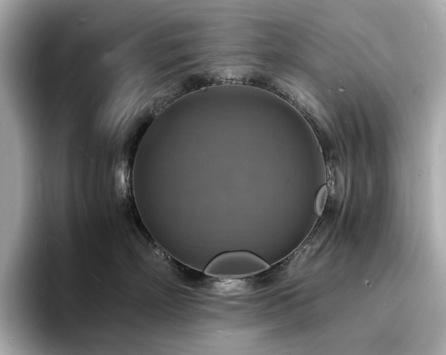 X0000093730718200710161117