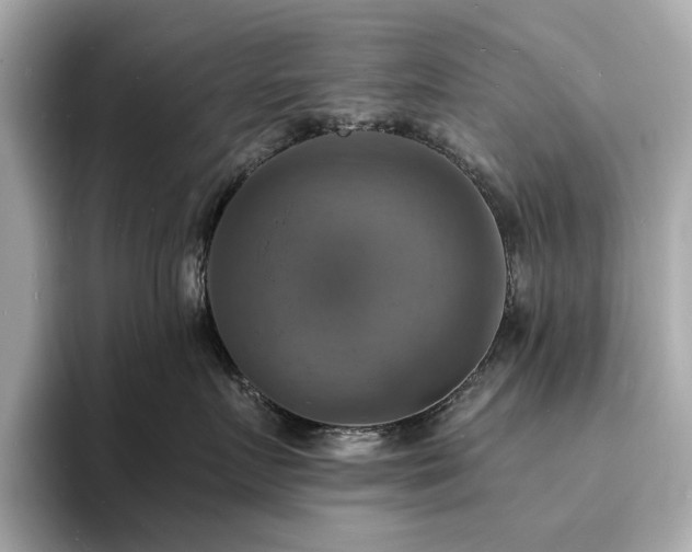 X0000093730719200710161117