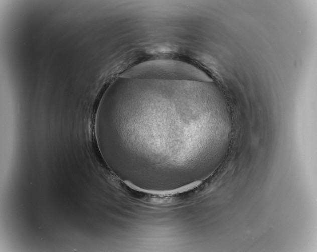 X0000093730720200710161117