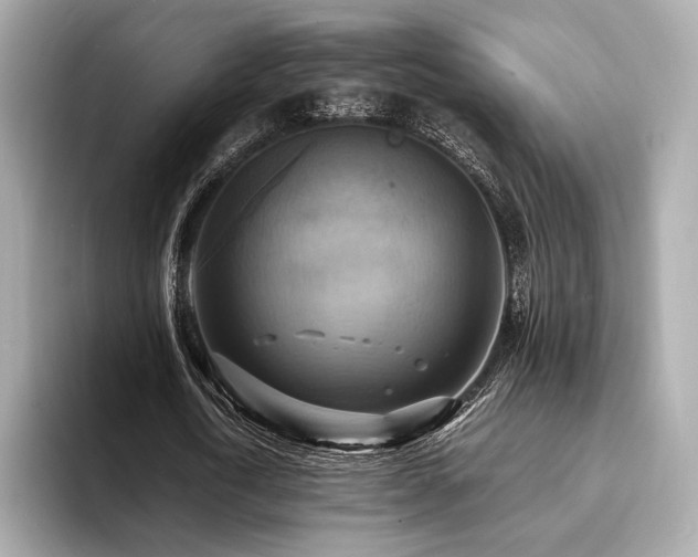 X0000093730722200710161116