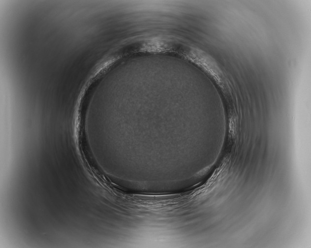 X0000093730724200710161116