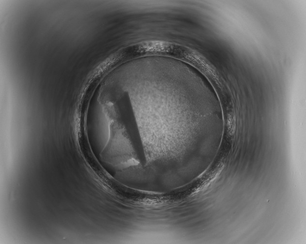 X0000093730725200710161116