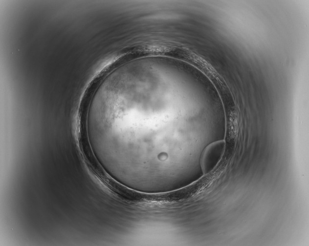X0000093730726200710161116
