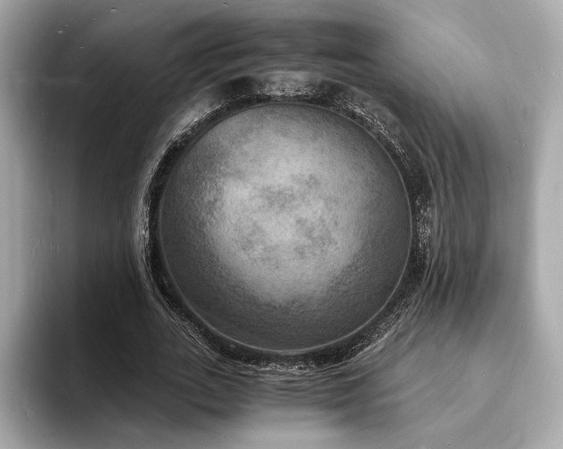 X0000093730727200710161116
