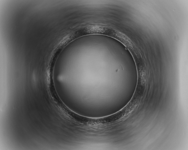 X0000093730729200710161116