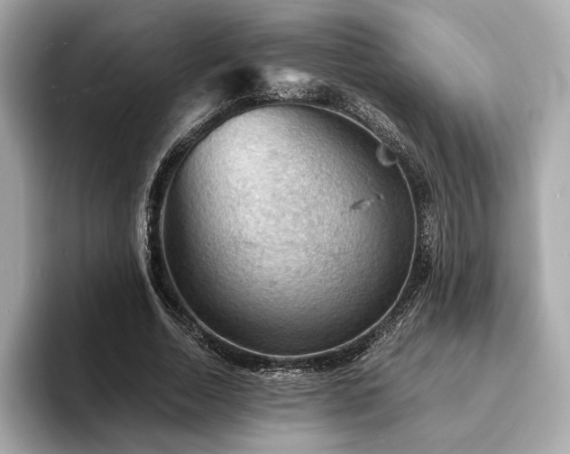 X0000093730730200710161116