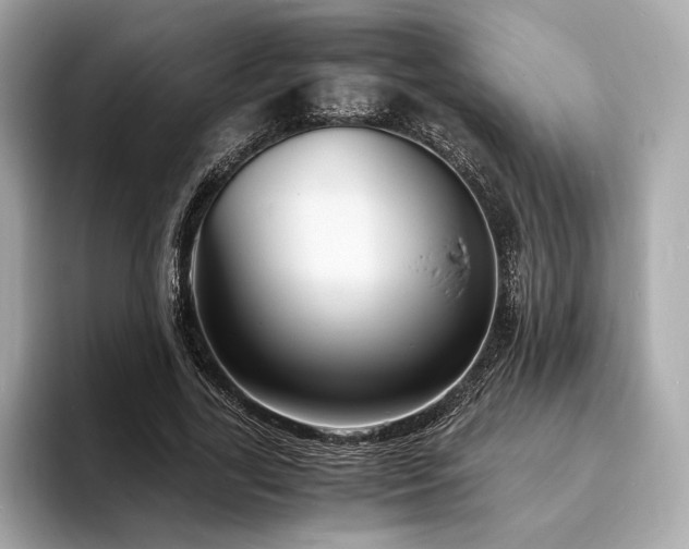 X0000093730731200710161116