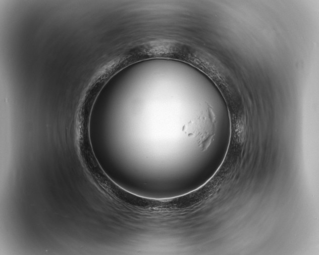 X0000093730732200710161116