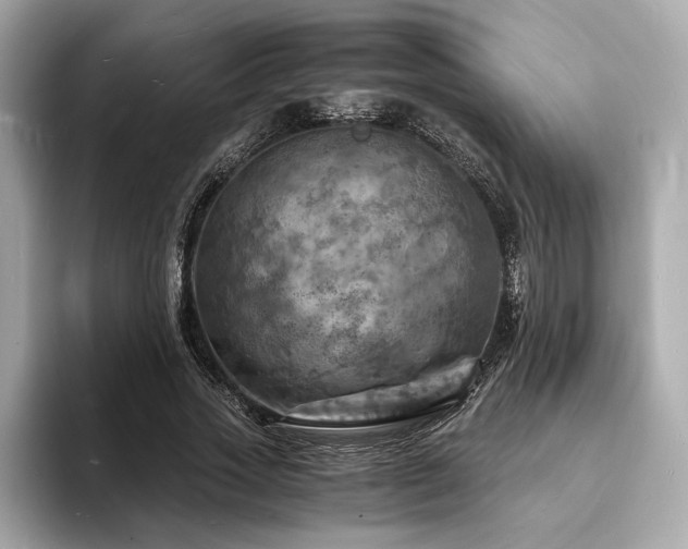 X0000093730733200710161116