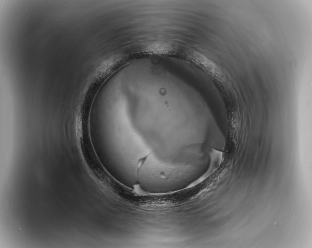 X0000093730734200710161116