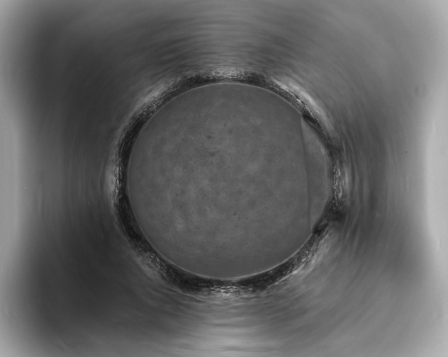 X0000093730736200710161116