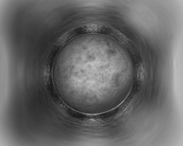 X0000093730737200710161116